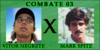 Combate-03-sul.png