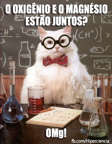 gato-quimico-quimica-4.jpg