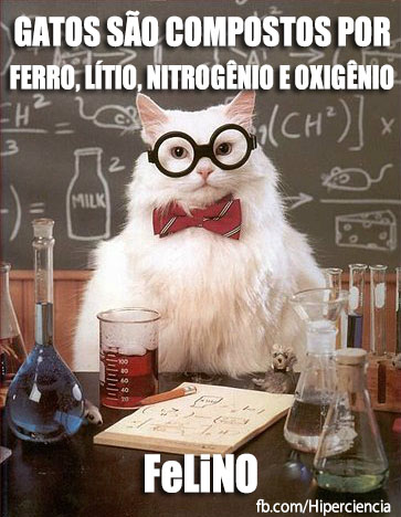 gato-quimico-quimica-6.jpg