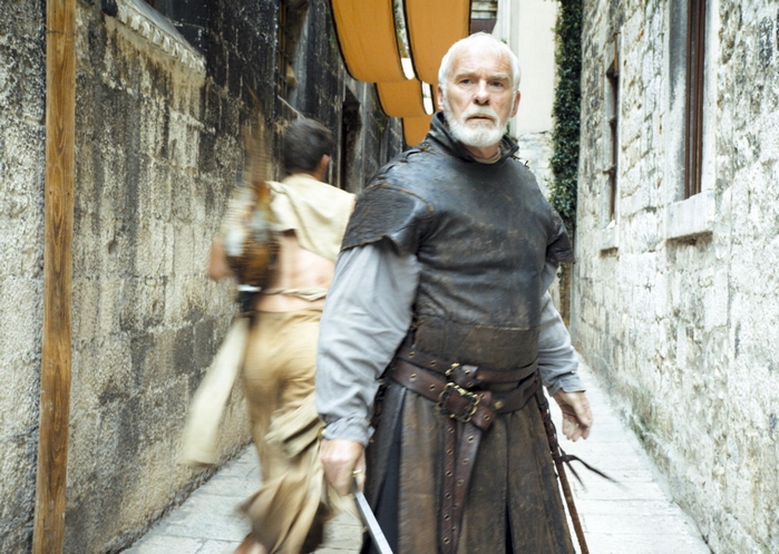 Barristan_selmy_sons_of_the_harpy.jpg