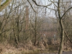 Sarehole Mill visto do Moseley Bog