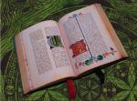 thumb_silbuch03.jpg
