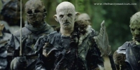 the_hunt_for_gollum_002.jpg