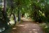 tolkien_oxford_12_addisons_walk_s