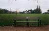 tolkien_oxford_23_two_trees