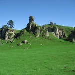 Wharepapa South - Waikato