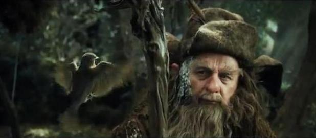 Radagast&Pássaro