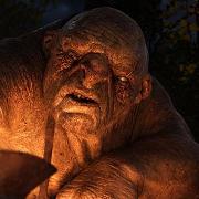 Troll