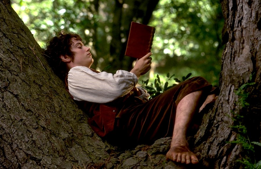 Frodo lendo