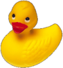 just_a_duck.png