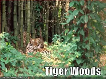 tiger-woods.jpg