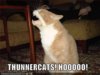 funny-pictures-thundercats-scream.jpg