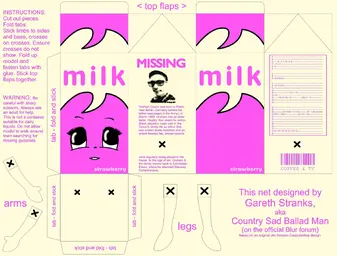 missmilk_carton_template.jpg