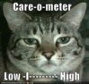 funny-pictures-care-o-meter-cat.jpg