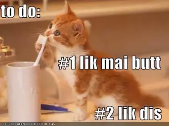 funny-pictures-orange-kitten-licks-toothbrush.jpg