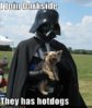 funny-dog-pictures-dog-joins-the-dark-side-because-there-are-hotdogs.jpg
