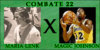 Combate-22-sul.png