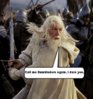 GandalfVSDumbledore.jpg