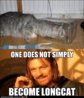 funny-pictures-one-does-not-simply-become-longcat.jpg