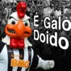 clubes-escudo-do-galo-2a24e2.jpg