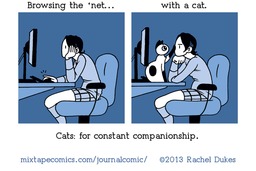 Rachel-Dukes-Cats-for-constant-companionship-comic.png
