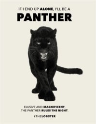 panther.JPG