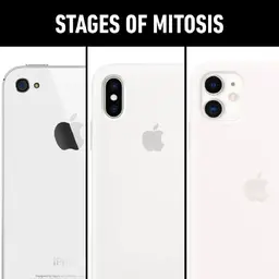 CELLphone-mitosis.jpg