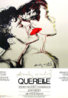 Querelle-Grey-Posters.jpg