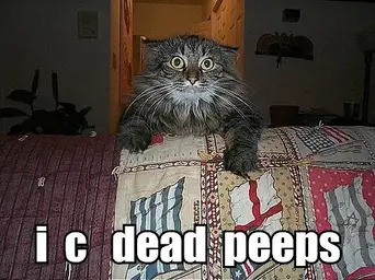 i-c-dead-peeps.jpg