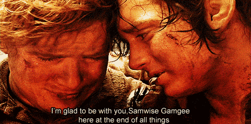 Sam/Frodo