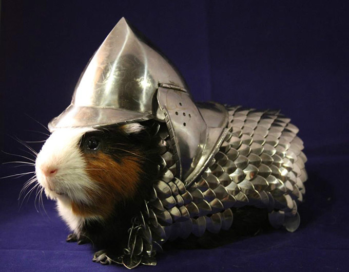 A-Guinea-Pig-Armor-Suit.jpg