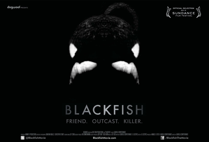Blackfish%2Bposter.jpg
