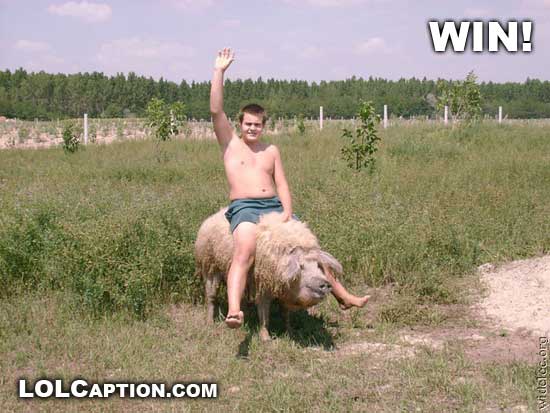 funny-win-pictures-riding-a-pig-lolcaption.jpg
