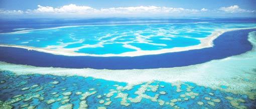 finalist_Great-Barrier-ReefYT_5101.jpg