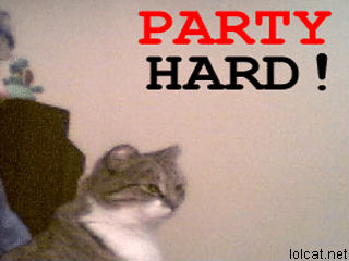 Party_hard_cat2.gif