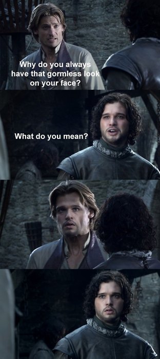GoT-in-a-funny-way-game-of-thrones-29240986-312-700.jpg