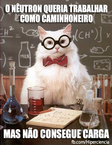 gato-quimico-quimica-3.jpg