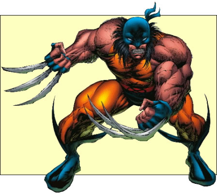 Wolverine-1995-03.jpg