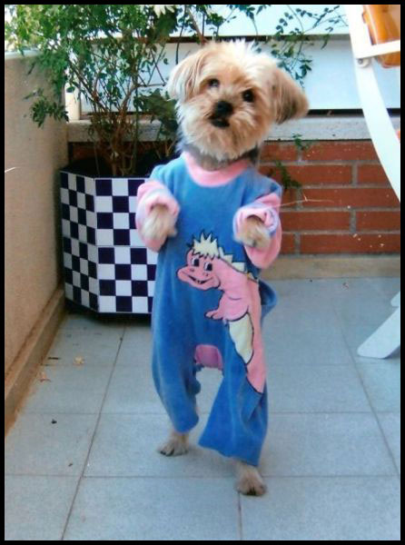 chewbacca_pijama.jpg