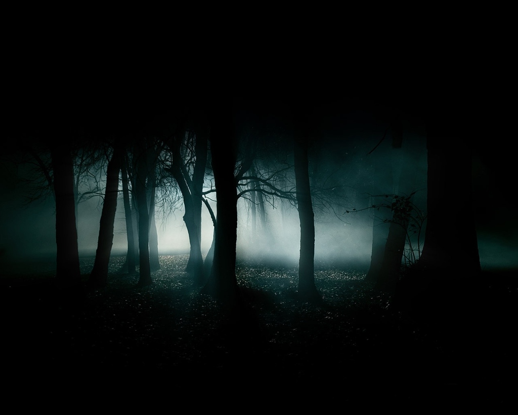 dark-woods-forest-image.jpg