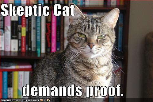 skeptic_cat.jpg