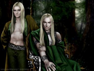 mirkwood1.jpg