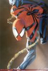 thumb_Spiderman.jpg