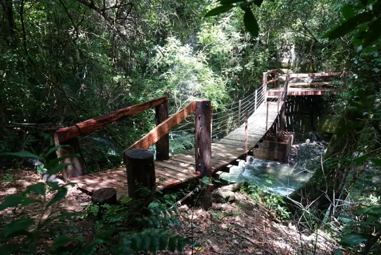 Trilha do Sumidouro Ressurgência - Parna Serra da Bodoquena - Parna Serra da Bodoquena