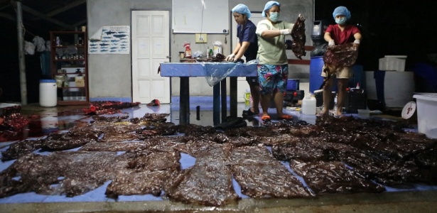 algumas-das-80-bolsas-de-plastico-que-causaram-a-morte-de-uma-baleia-na-tailandia-1528215359043_615x300.jpg