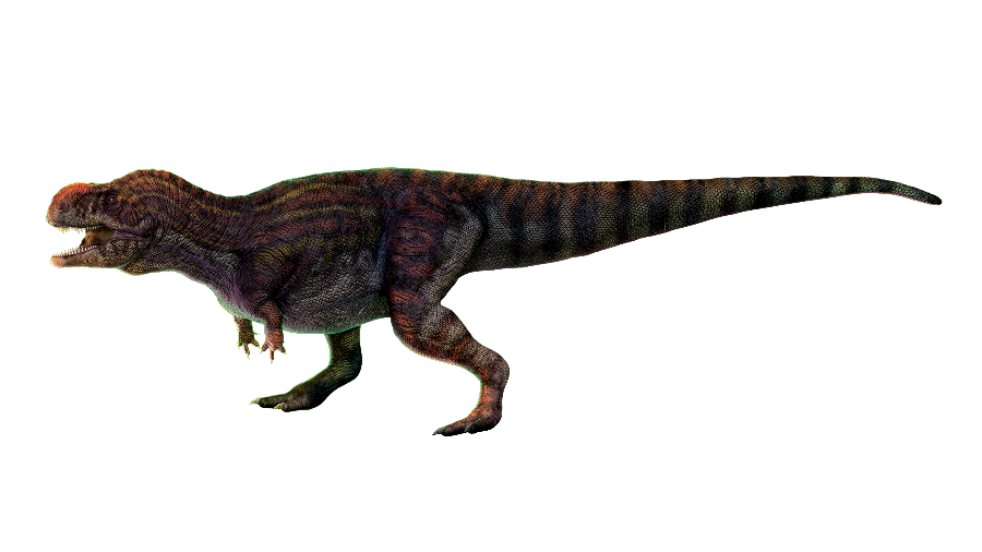 thanos-simonattoi-um-abelissaurideo-de-5-metros-de-comprimento-que-viveu-no-noroeste-paulista-ha-80-milhoes-de-anos-1543858147052_v2_900x506.png