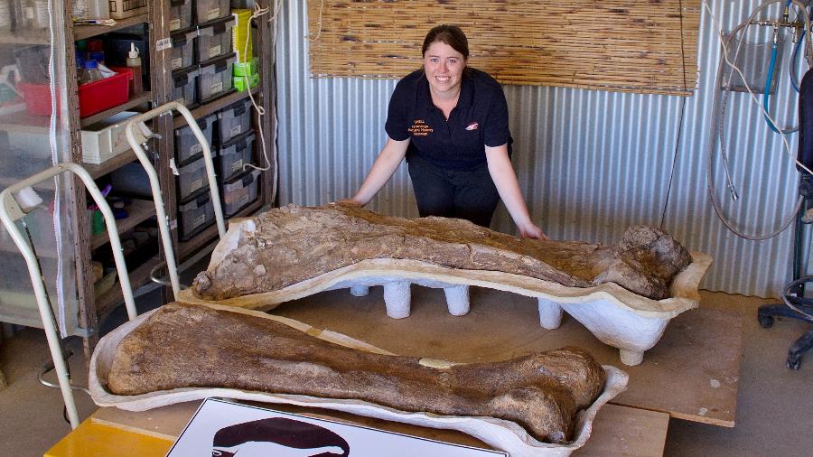 dinossauro-gigante-descoberto-no-outback-da-australia-foi-identificado-como-uma-nova-especie-e-reconhecido-como-um-dos-maiores-que-ja-vagou-pela-terra-de-acordo-com-paleontologos-1623167804564_v2_900x506.jpg