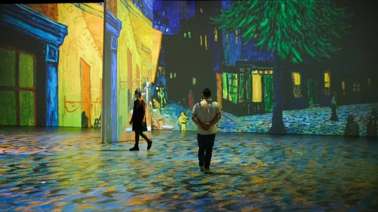 Exposição imersiva com a obra de Vincent Van Gogh - Divulgação - Divulgação
