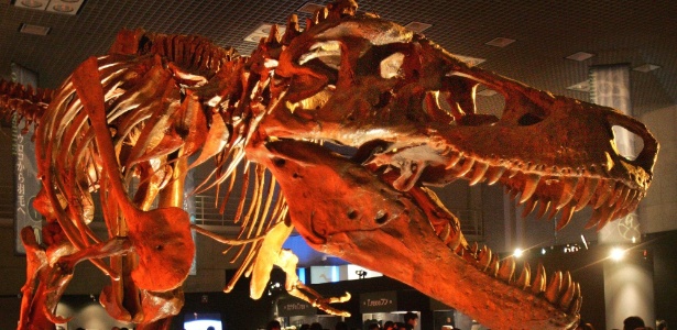 tiranossauro-rex-possuia-a-mordida-mais-potente-entre-todos-os-animais-1330521313609_615x300.jpg