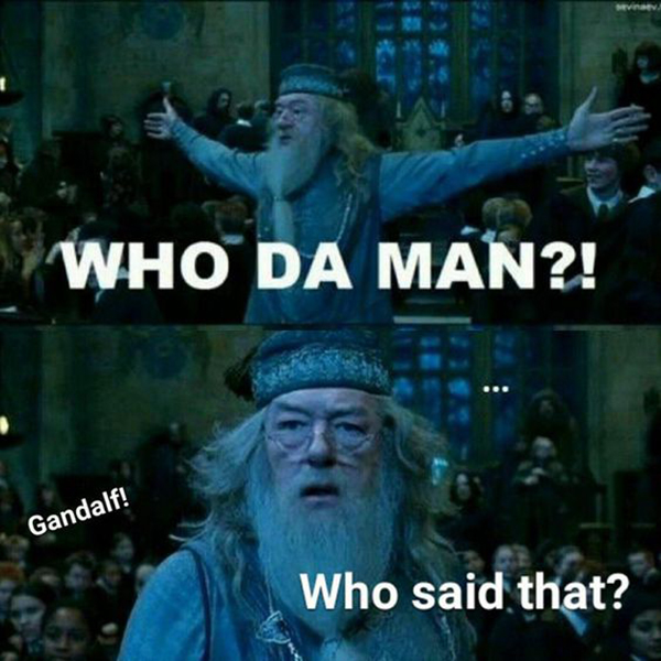 dumbledore-funny-memes-02-who-da-man.jpg